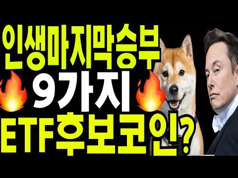 2024-2025 코인 시장 전망 및 ETF 후보코인 분석