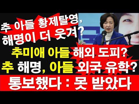 추미애 아들 해외 도피 사건: 논란과 해명