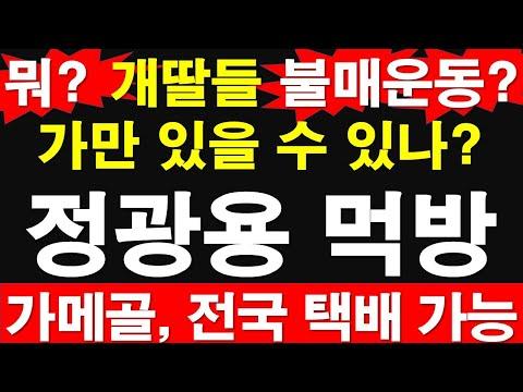 정광용 먹방: 불매운동에 대한 견해와 전국 택배 가능한 가메골 소개