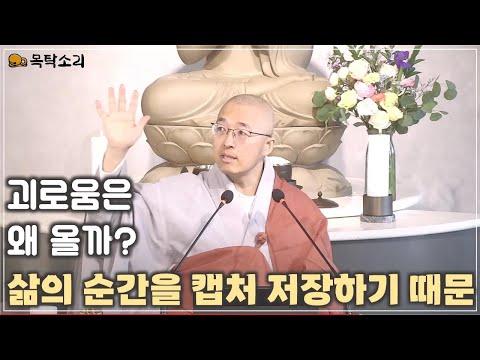 [돈오81] 불교의 계율과 삶의 순간을 캡처하는 방법