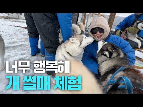 아이슬란드 여행 2편: 개썰매 체험과 더불어 즐길 거리