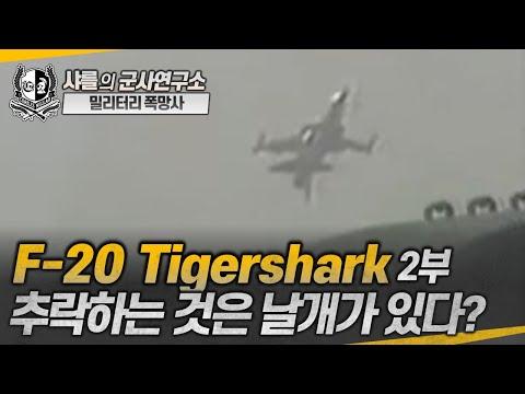 F-20 Tigershark: 왜 추락하는 것은 날개가 있다? #f20 #샤를세환 #이세환