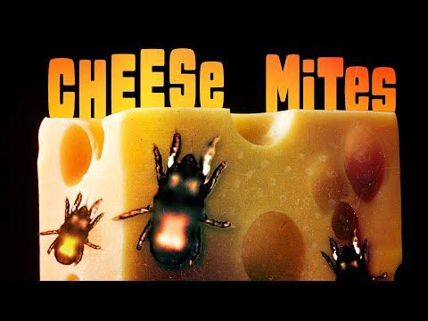 The Mitey Influence: How Mites Shape the Flavor of Cheese