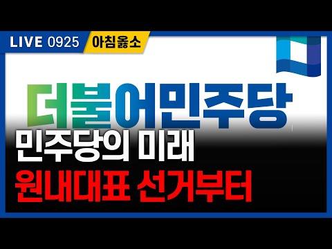 치매 노인 문제와 민주당의 원내대표 선거: 현재 상황과 전망