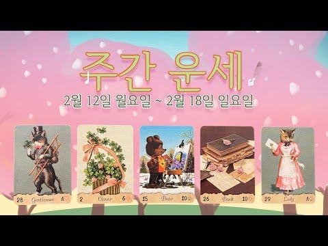 [타로/주간운세] 2월 셋째 주: 주요 예측 및 조언