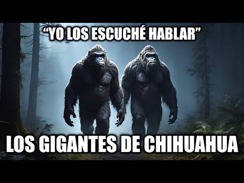 Encuentro con Criaturas Misteriosas en Chihuahua: El Relato Más Increíble