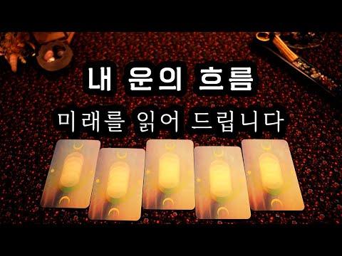 타로 카드를 통해 새로운 시작을 위한 인사이트