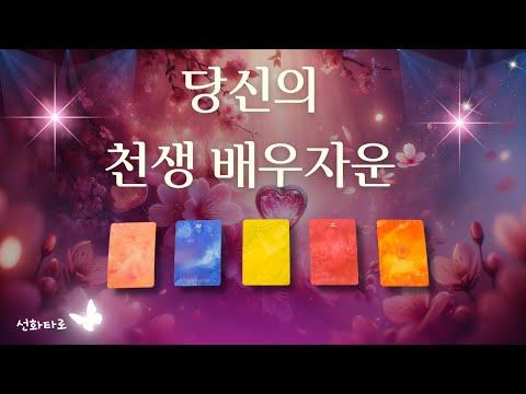 타로|연애💘 당신의 천생 배우자운 - 이상적인 배우자를 찾아가는 길