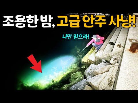 루파와 형님의 해삼 낚시 모험: 밤의 안주거리와 즐거움