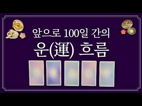 타로 카드를 통한 100일간의 운세 해석