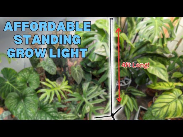 Illuminate Your Plants: A Review of the Versatile Standing Grow Light