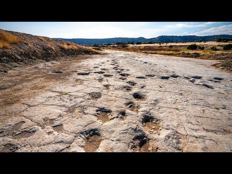 Uncovering Prehistoric Secrets: Fossil Footprints and Dinosaur Behaviors Revealed