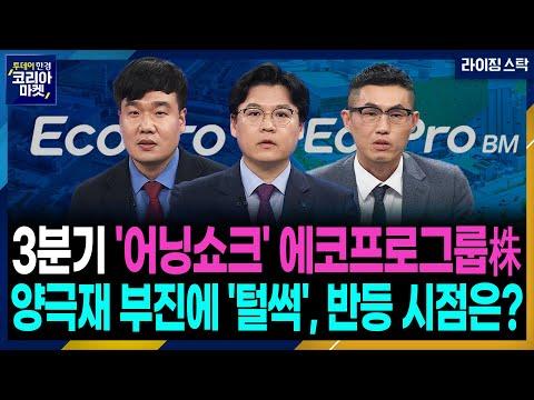 에코프로와 포스코 그룹의 주가 하락, 리튬가격 하락의 영향 및 전망