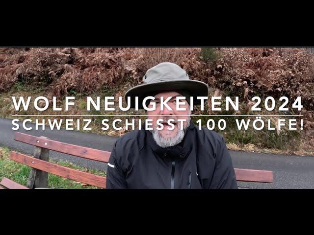 Die Zukunft des Wolfs in der Schweiz - Neue Erkenntnisse 2024
