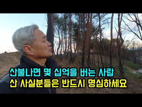 우리나라 산림사업의 고민과 해결책