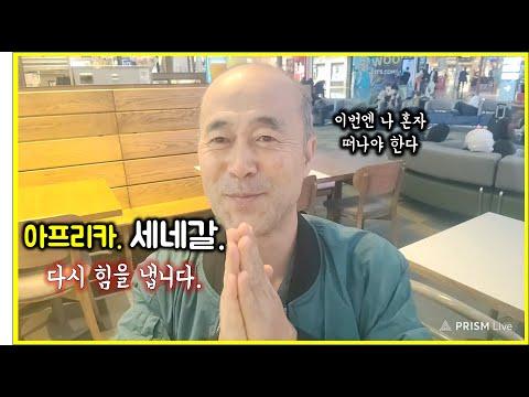 아프리카 여행: 터키 항공으로 새로운 모험을 떠나다