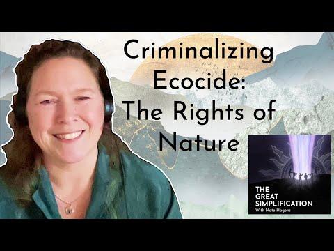 Criminalizing Ecocide: The Rights of Nature - A Paradigm Shift Towards Protecting the Environment