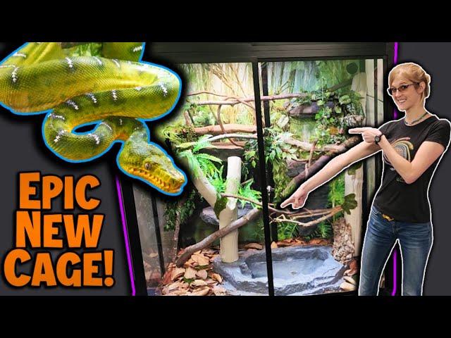 Building and Setting Up a New Cage for Reptiles: A Step-by-Step Guide