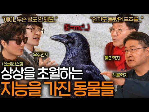 동물들의 놀라운 지능과 능력에 대한 최근 보고