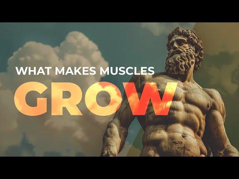 Maximizing Muscle Growth: Training Intensity, Time Under Tension, and Frequency