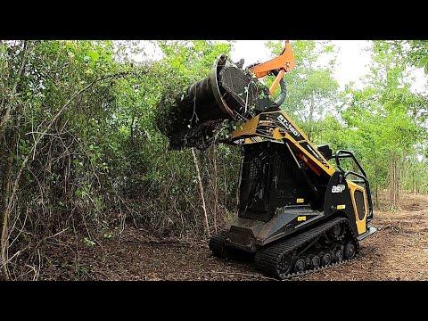 Transforming a Nightmare into a Mulching Masterpiece: A Case Study