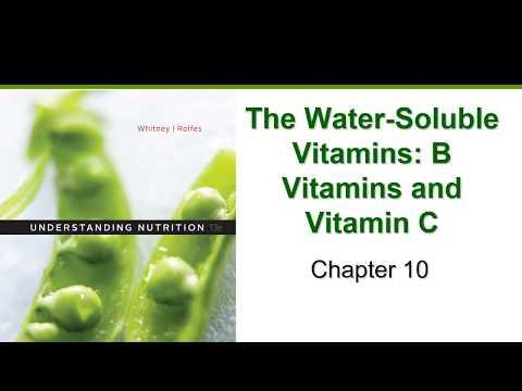 Mastering the Essentials of Vitamins: A Comprehensive Guide
