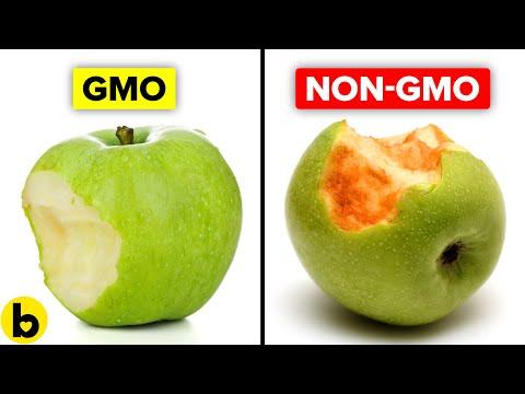The Pros and Cons of Genetically Modified Foods
