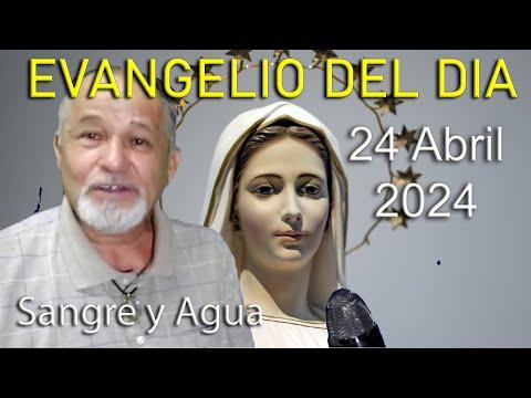 Descubre la Luz del Mundo: Reflexiones del Evangelio del Día