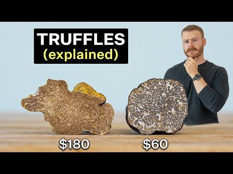 Unveiling the Truth About Truffles: Are They Worth the High Cost?