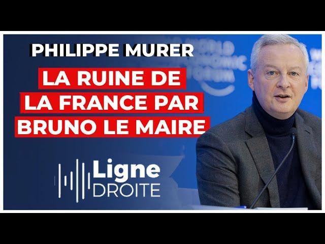 Comment Bruno le Maire a coulé la France: Analyse et Solutions - Philippe Murer