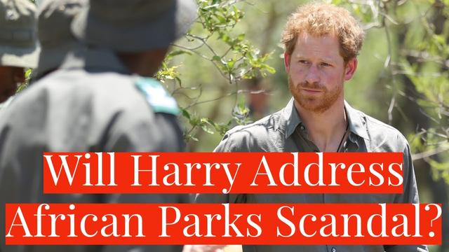 Uncovering the Truth: Prince Harry's Silence on African Parks Scandal