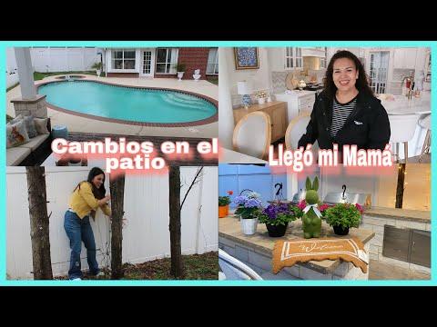 Transformación de mi Patio con Flores y Luces - ¡Descubre cómo embellecer tu espacio exterior!