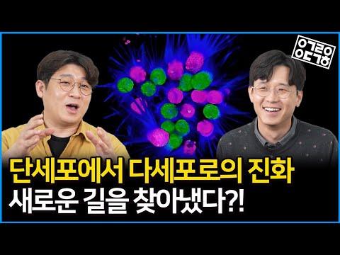 다세포 생물의 진화: 새로운 연구와 발견