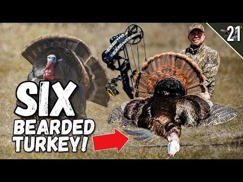 Unveiling the Thrilling Turkey Tour: A Hunter's Dream Come True