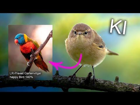 Optimiere deine Vogelbilder mit KI Lightroom Presets - Ein Leitfaden für Fotografen