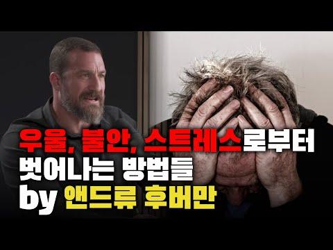 우울, 불안, 스트레스를 극복하는 방법 : 앤드류 후버만의 6가지 삶의 기둥