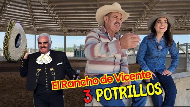 Descubre la Belleza de los Caballos de Vicente Fernández en el Rancho Los Tres Potrillos