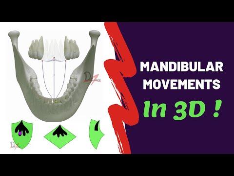Unlocking the Secrets of Mandibular Movements: A Comprehensive Guide