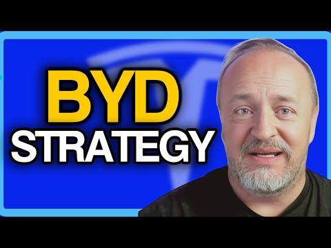 BYD's Global Expansion Strategy: A Closer Look at Stella Li's Vision