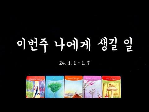 [타로] 이번주 나의 일과 사랑🌼