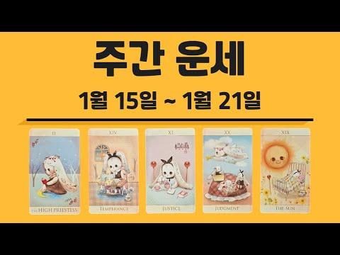 [타로/주간] 1월 셋째 주/직장/금전/시험/관계/애정/컨디션