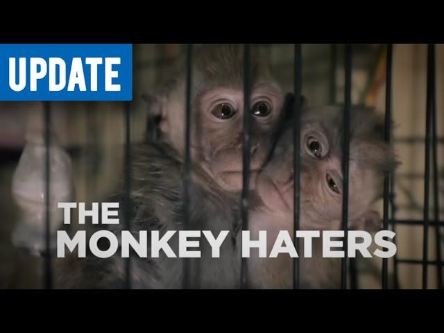 640px x 480px - YouTube's Monkey Torture Video Scandal: Progress and Hope for Animal  Protection