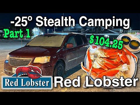 -25º 🥶 Winter Stealth Camping at Red Lobster 🦞 Part 1