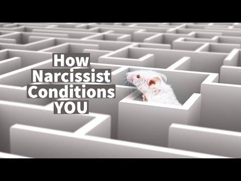 Understanding Narcissistic Behavior and Conditioning Techniques