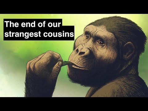 Exploring Humanity 1 Million Years Ago: A Glimpse into Our Ancient Past