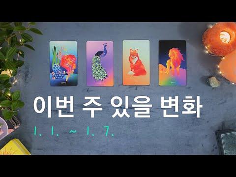 [타로/주간운세] 1월 첫째 주 종합운(1. 1. ~ 1. 7.)