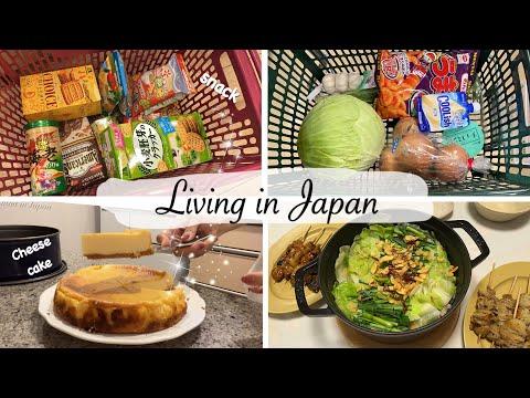 Delicious Snacks and Meals: A Vlogger's Food Adventure
