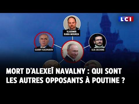 Les Opposants à Poutine : Une Vue d'Ensemble