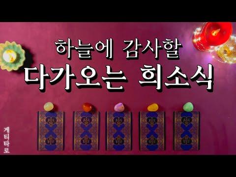 [타로] 다가오는 희소식: 신선한 운세와 조언