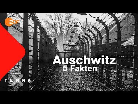 Die grausame Realität von Auschwitz: Ein Blick hinter die Kulissen